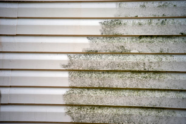 Affordable siding repair and maintenance services in Shelbina, MO